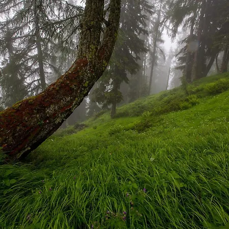 Alphuette Bielerhues