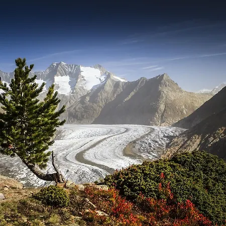 Alphuette Bielerhues Chalé *