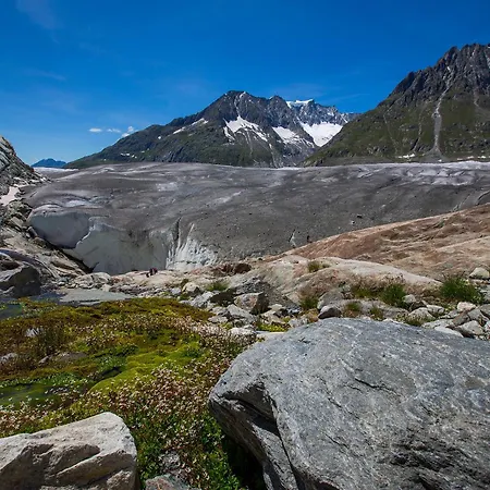 Alphütte Bielerhüs Chalet