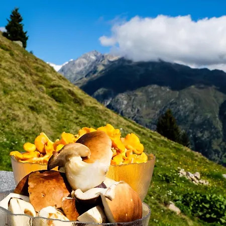 Alphütte Bielerhüs Chalet *