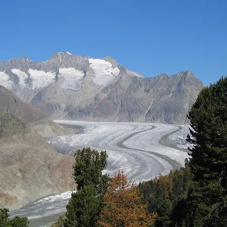 Chalet Alphütte Bielerhüs Fiesch